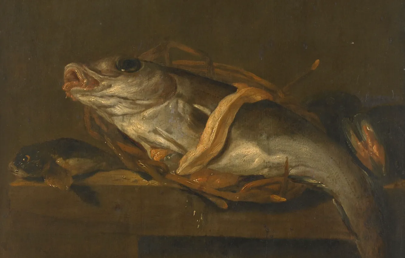 Фото обои масло, картина, 1662, Ян Вонк, Jan Vonck, Натюрморт с Пикшой и Морским Петухом