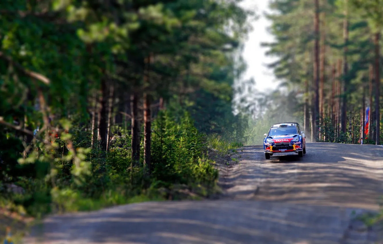 Фото обои Деревья, Лес, Скорость, Гонка, Citroen, DS3, WRC, Rally