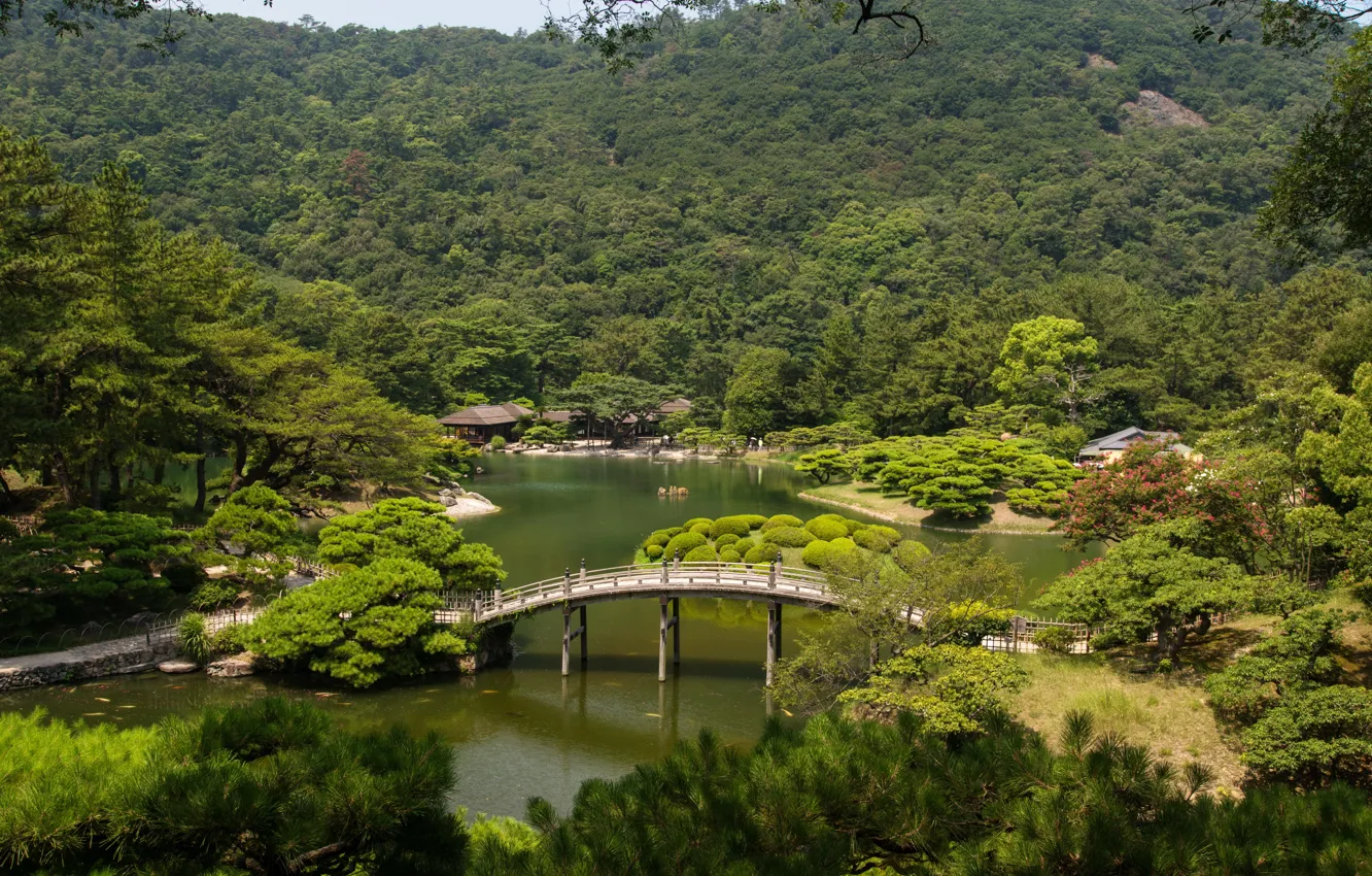 Фото обои деревья, пейзаж, мост, природа, река, фото, Япония, сады