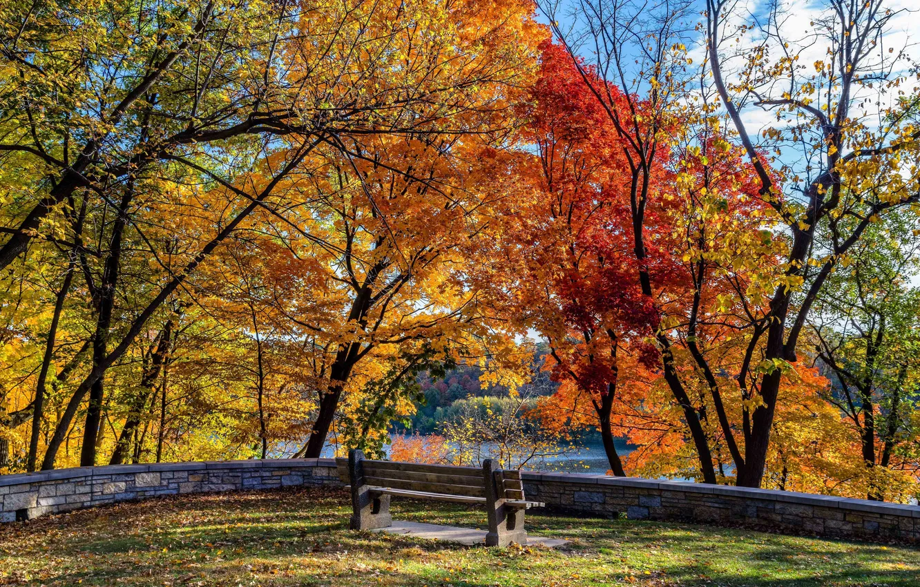 Фото обои осень, солнце, деревья, парк, река, тени, стендовые