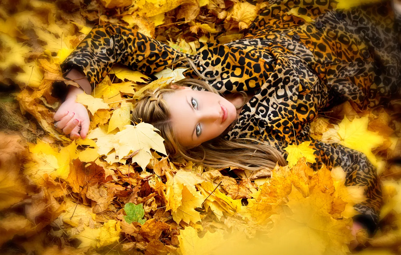 Фото обои осень, девушка, листва