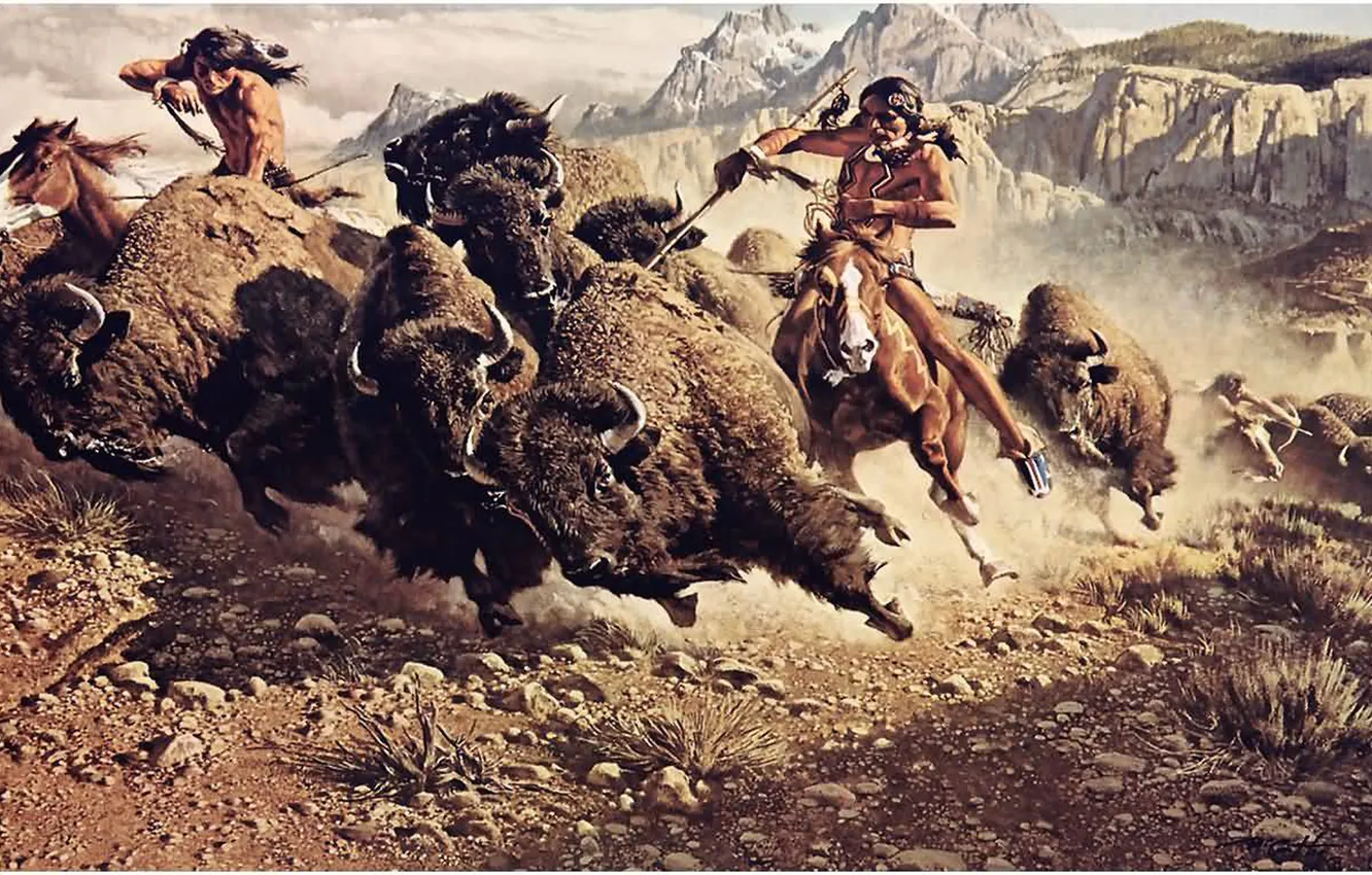 Фото обои buffalo, hunting, native american, Indians, Indians hunting
