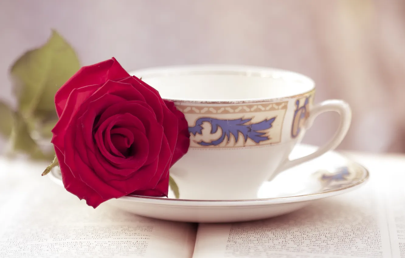 Фото обои цветок, роза, кружка, чашка, книга, чайная пара
