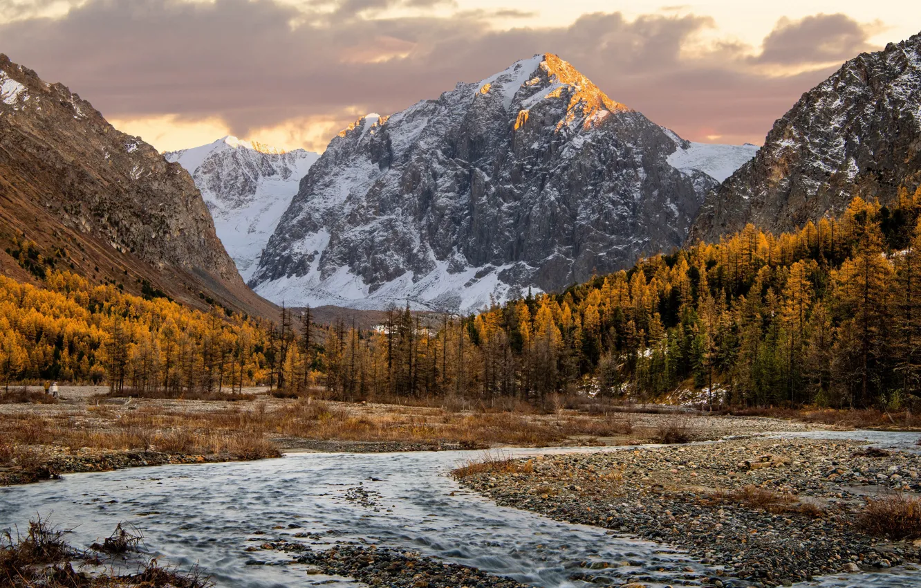 Фото обои осень, лес, горы, склон