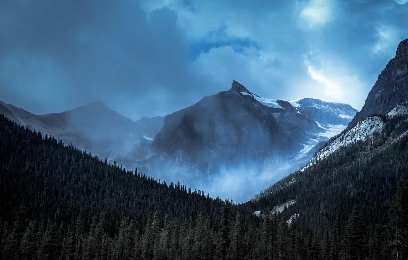 Фото обои зима, лес, небо, облака, снег, деревья, горы, ночь