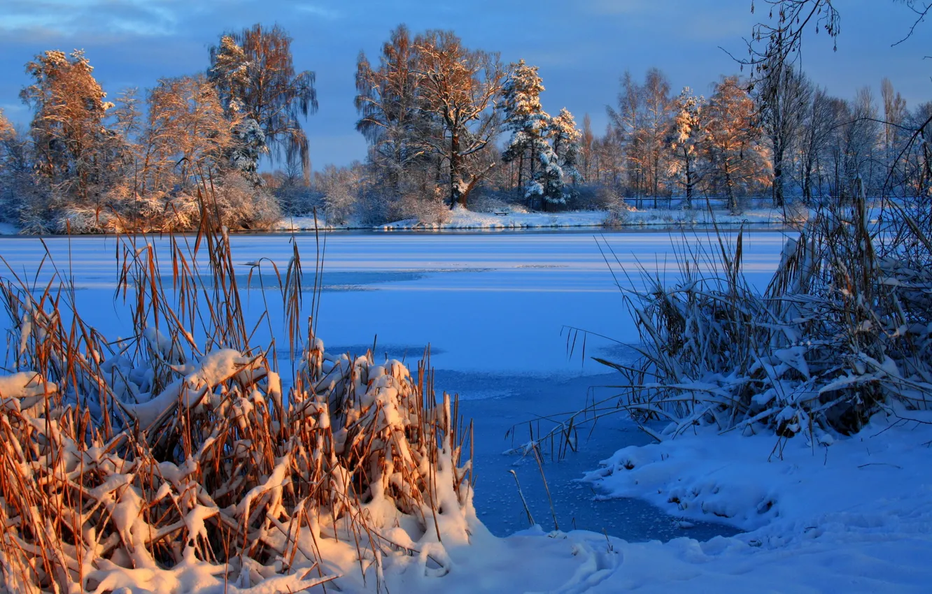 Фото обои Зима, Река, Германия, Снег, Лаупхайм