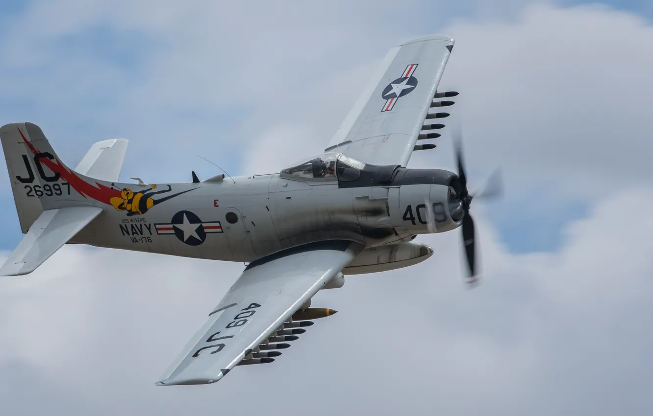 Фото обои полет, штурмовик, Douglas, Скайрейдер, Skyraider