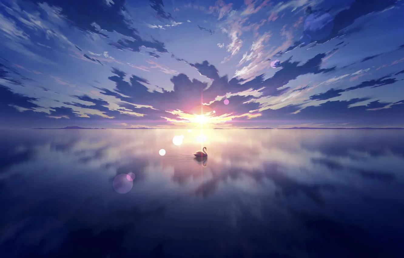 Фото обои небо, вода, солнце, закат, лебедь