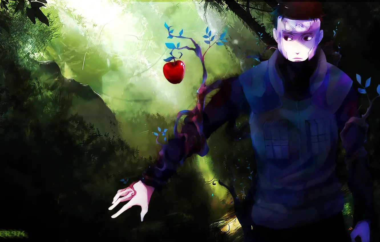 Фото обои дерево, яблоко, ветка, Naruto, ninja, sensei, чакра, Naruto Shippuden