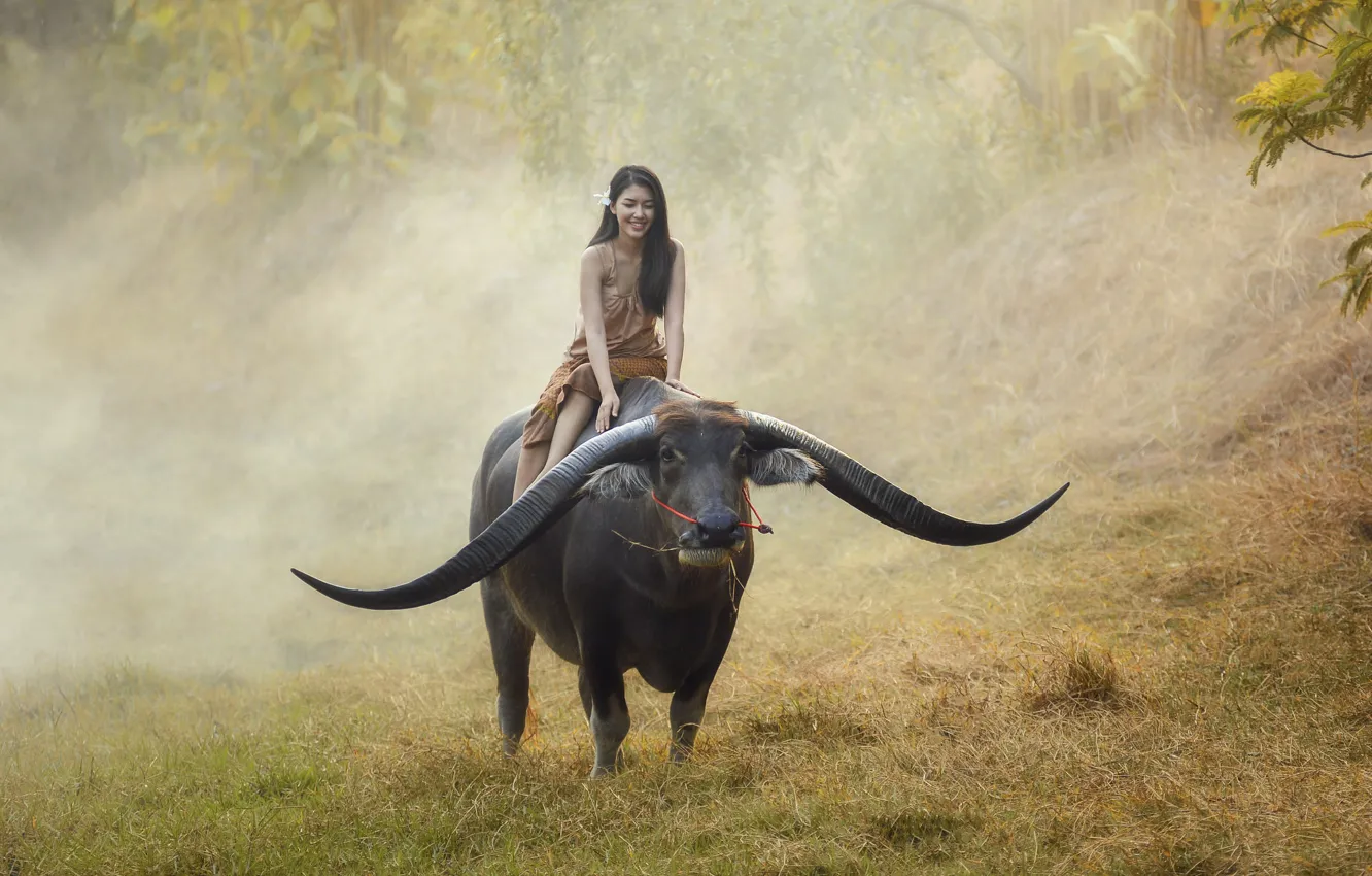 Фото обои девушка, настроение, Тайланд, азиатка, наездница, Thailand, буйвол