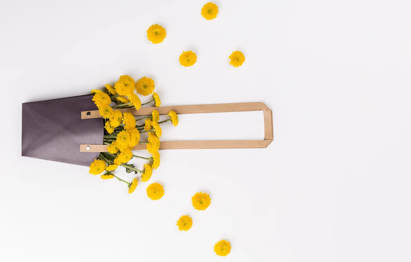 Фото обои цветы, букет, сумочка, маргаритки