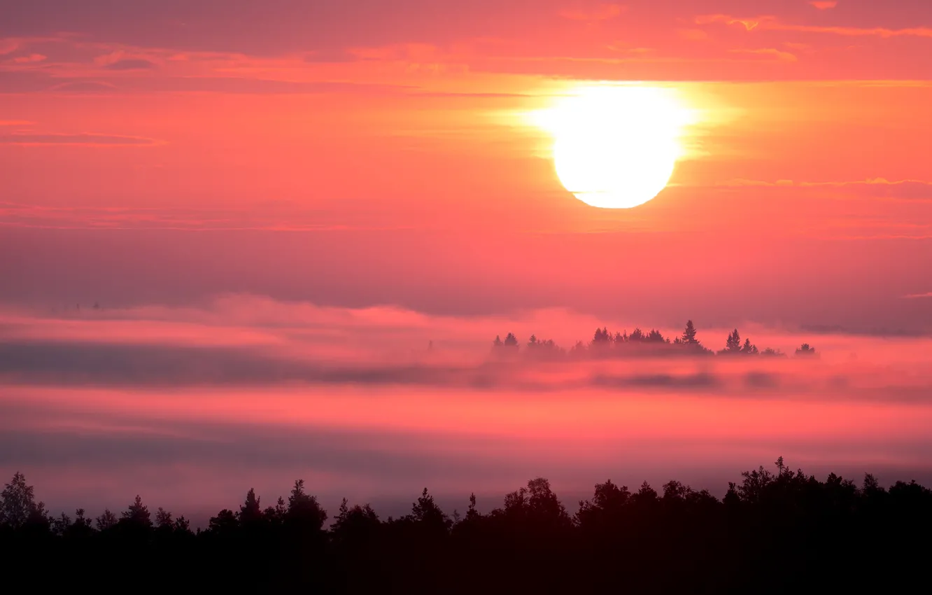 Фото обои небо, солнце, облака, деревья, закат, Финляндия
