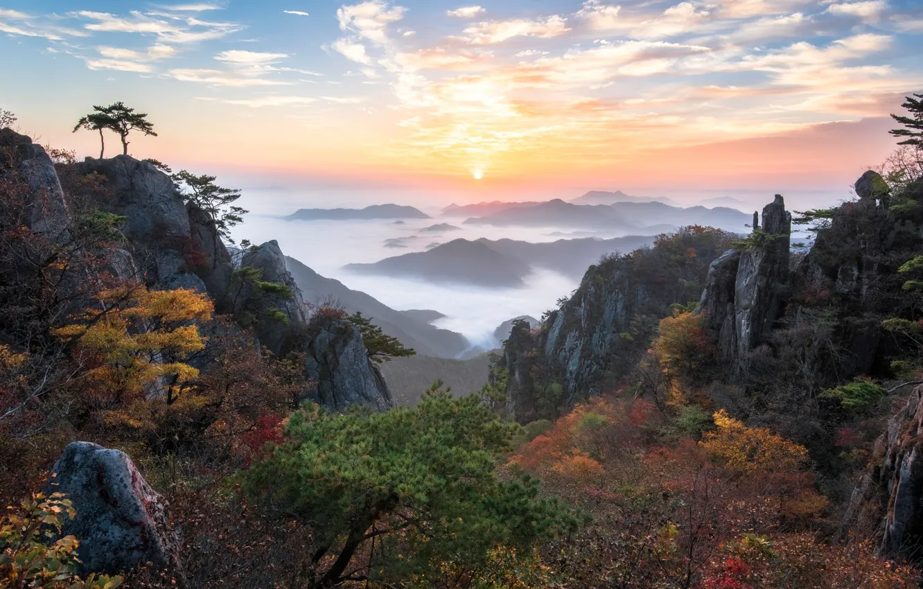 Фото обои осень, деревья, горы, туман, долина