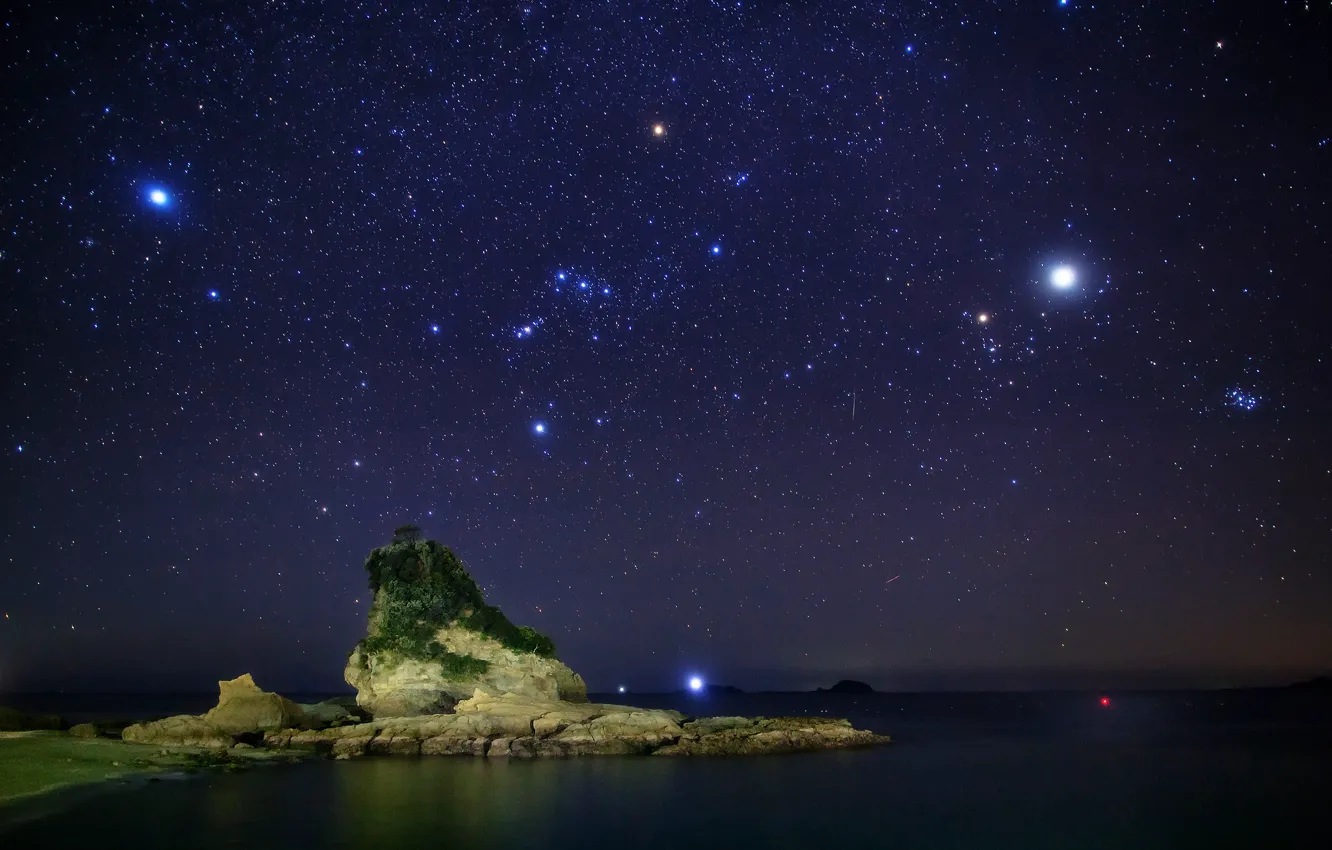 Фото обои море, небо, звезды, ночь, камни, дерево, созвездия