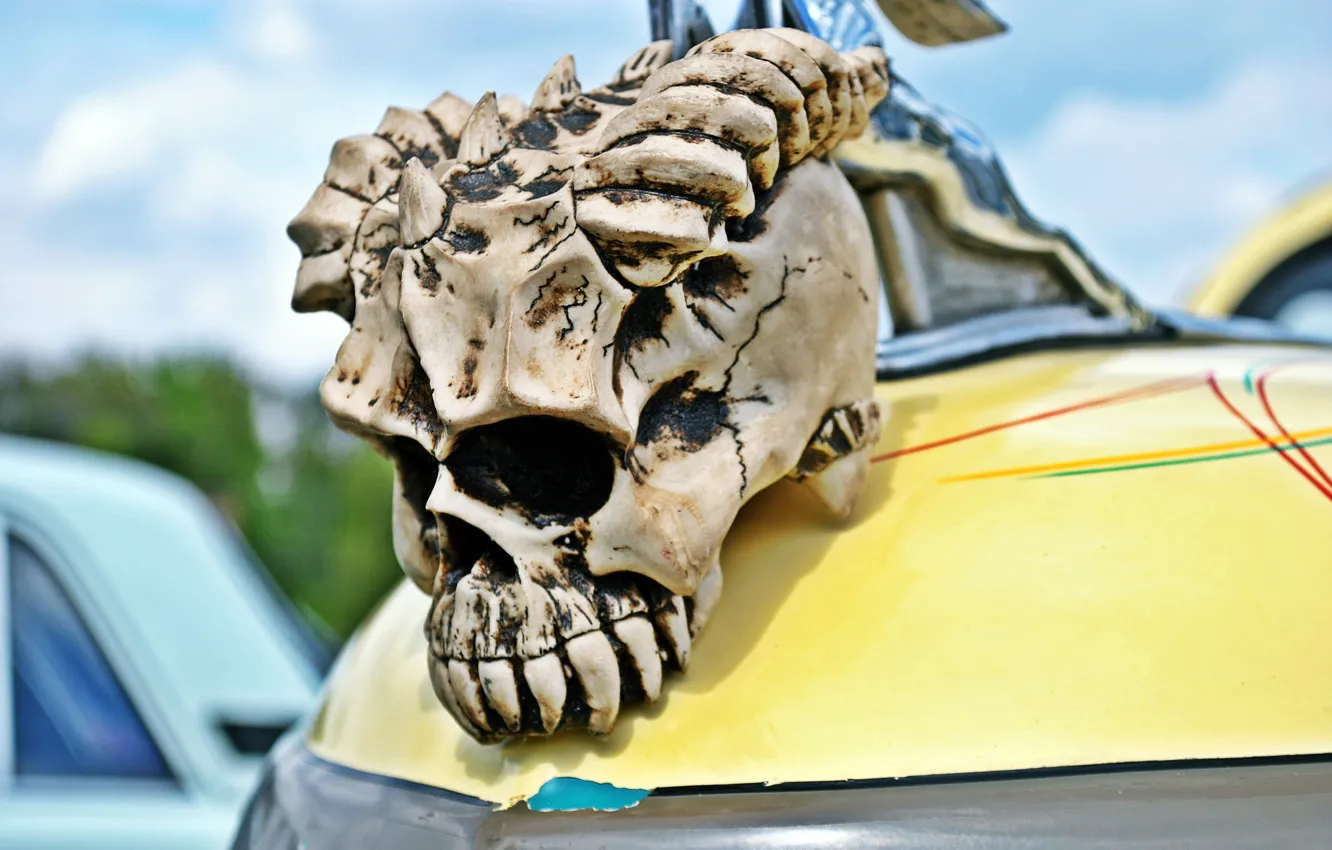 Фото обои авто, череп, кости, skull