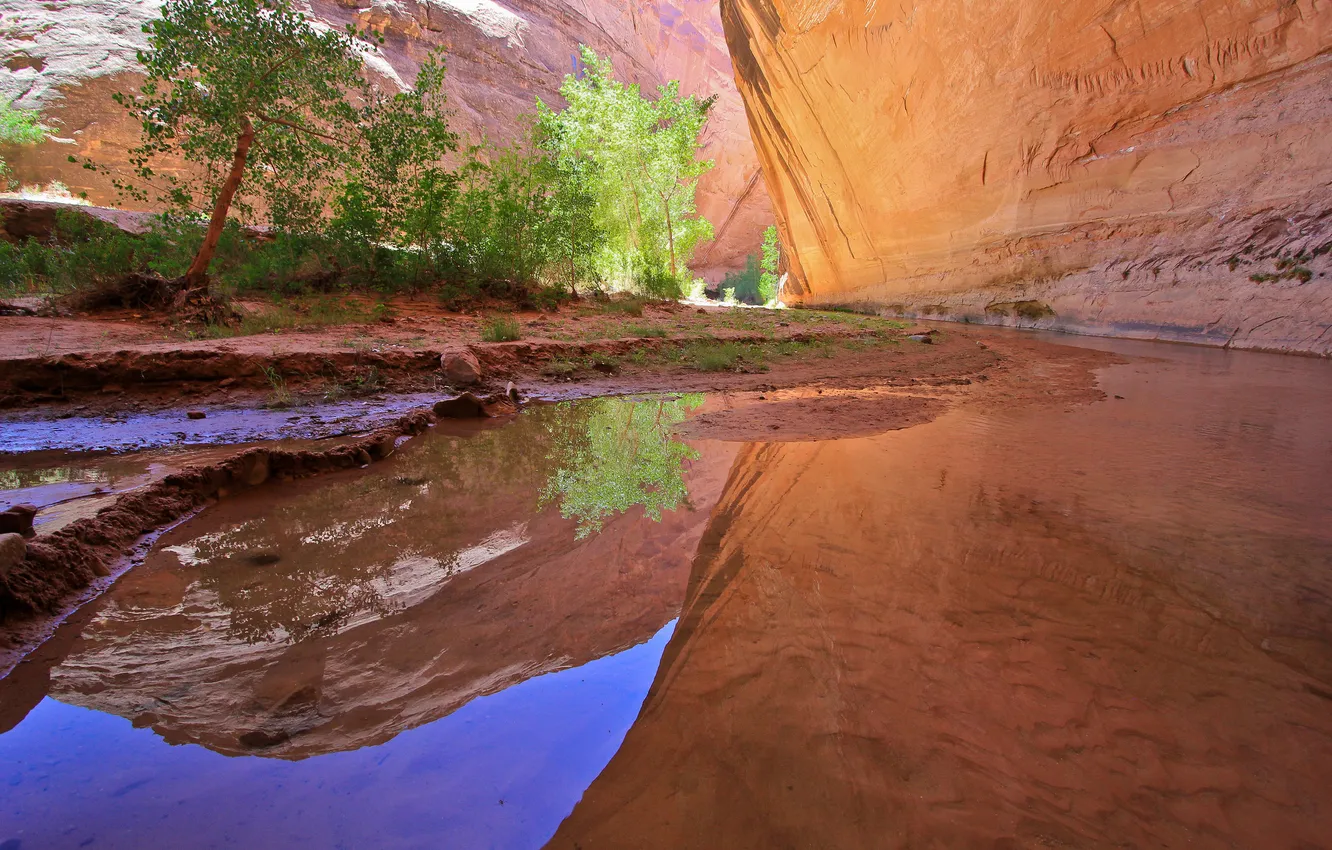 Фото обои вода, деревья, река, скалы, каньон, ущелье