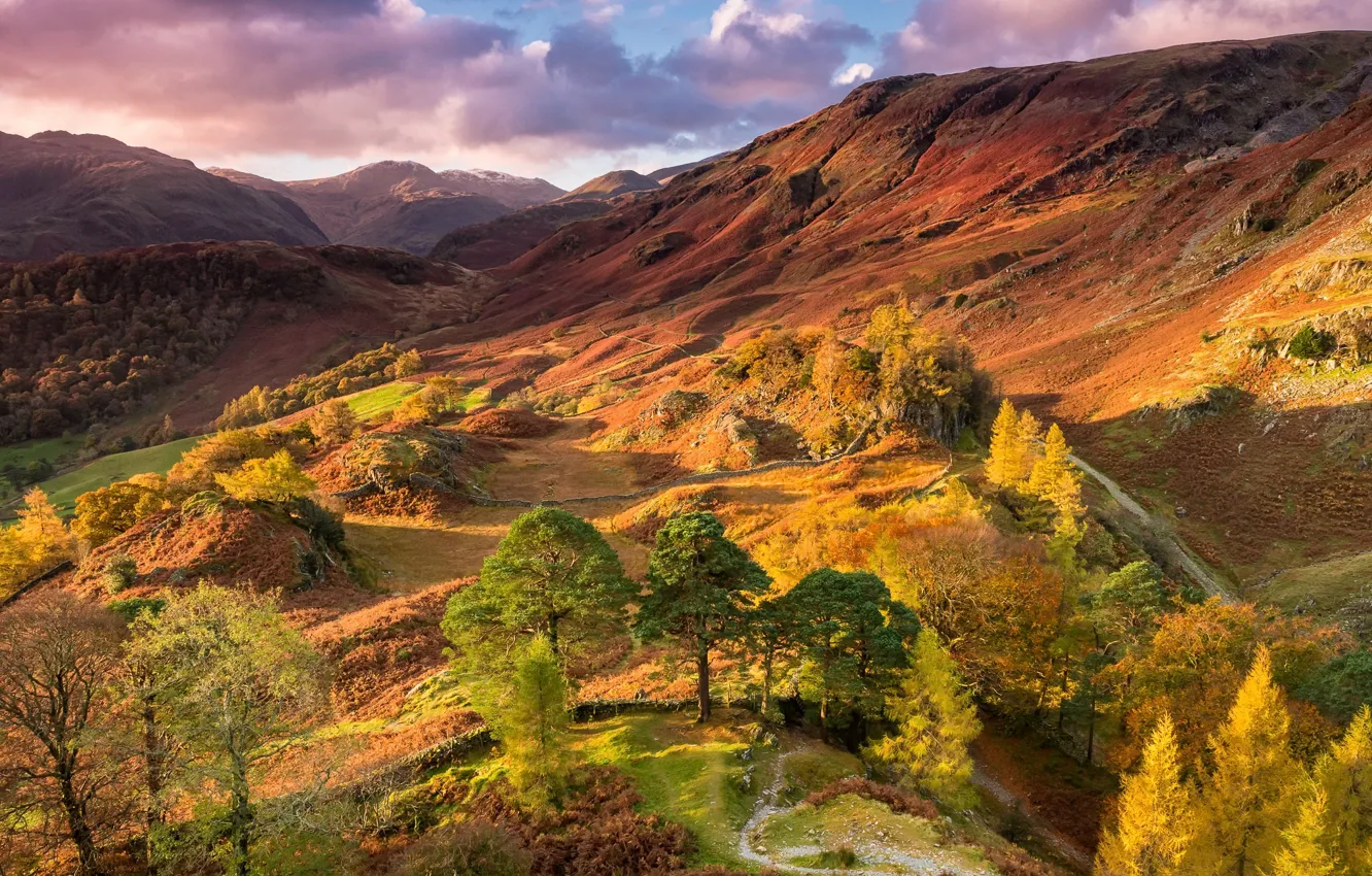 Фото обои осень, горы, природа