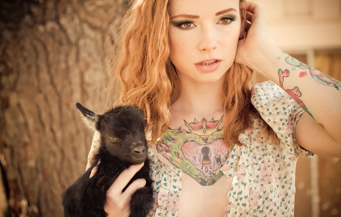 Фото обои girl, blouse, woman, tree, model, tattoo, animal, redhead