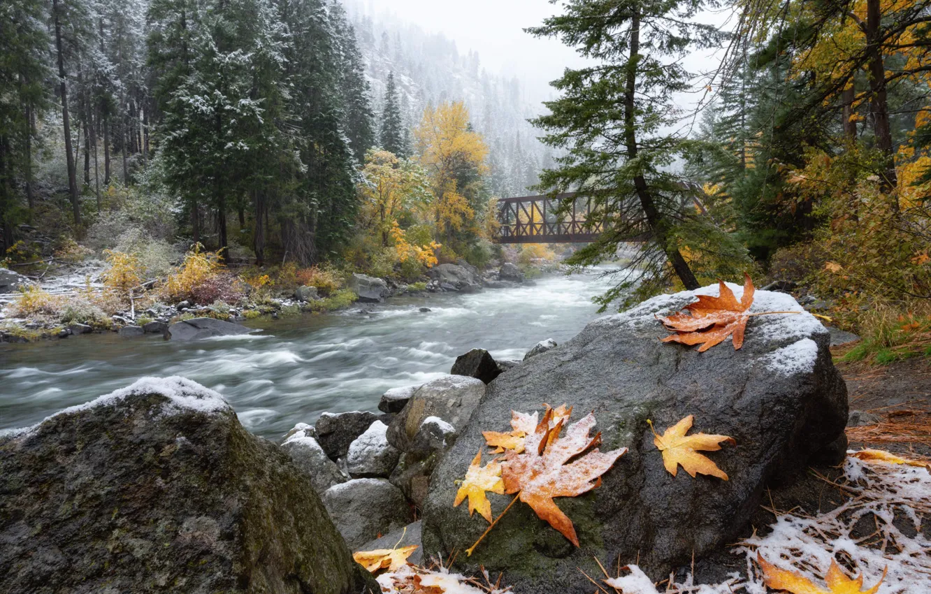 Фото обои иней, листья, снег, деревья, мост, река, камни, берег