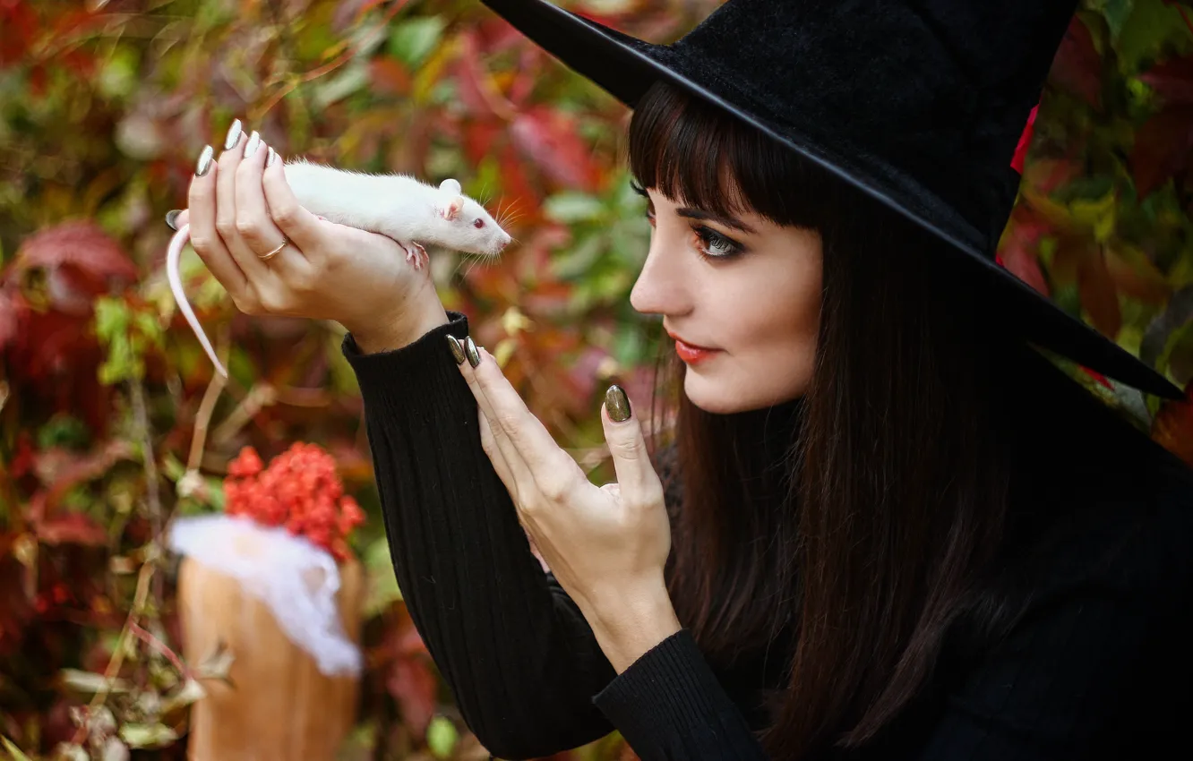 Фото обои девушка, животное, праздник, ведьма, halloween, крыса, хеллоуин