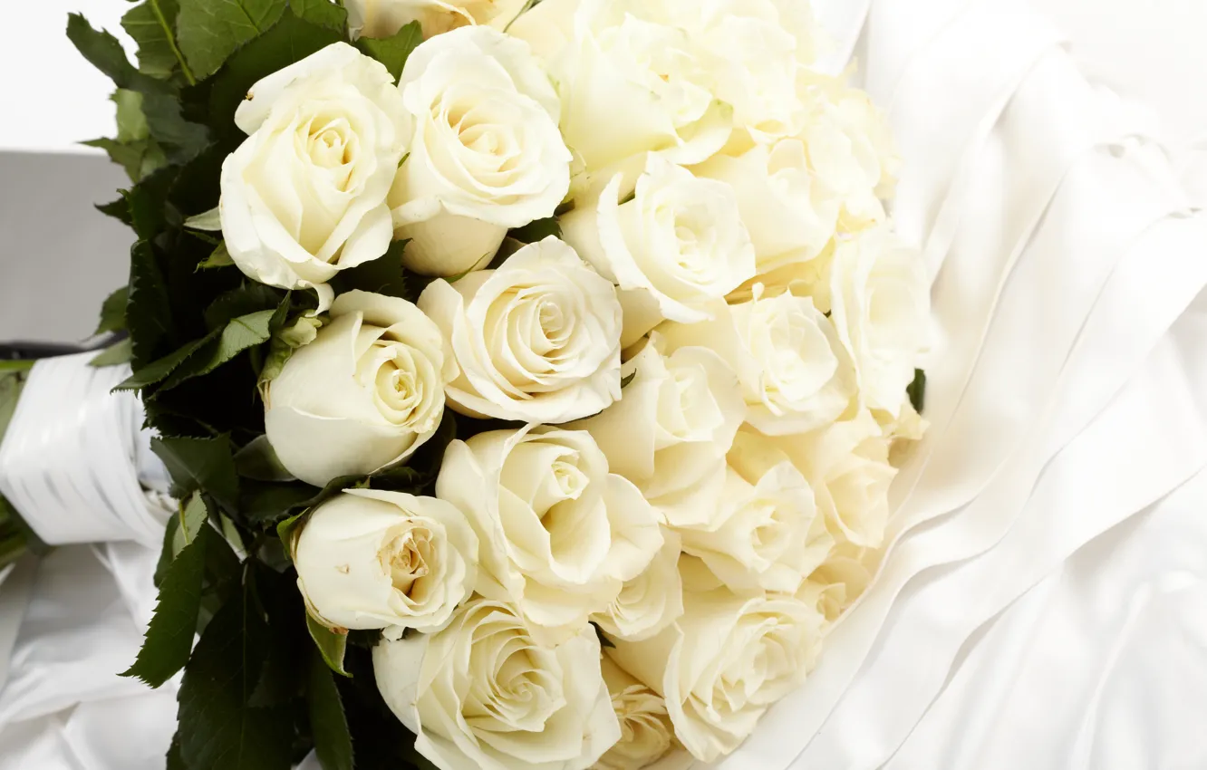 Фото обои букет, white, белые розы, flowers, roses