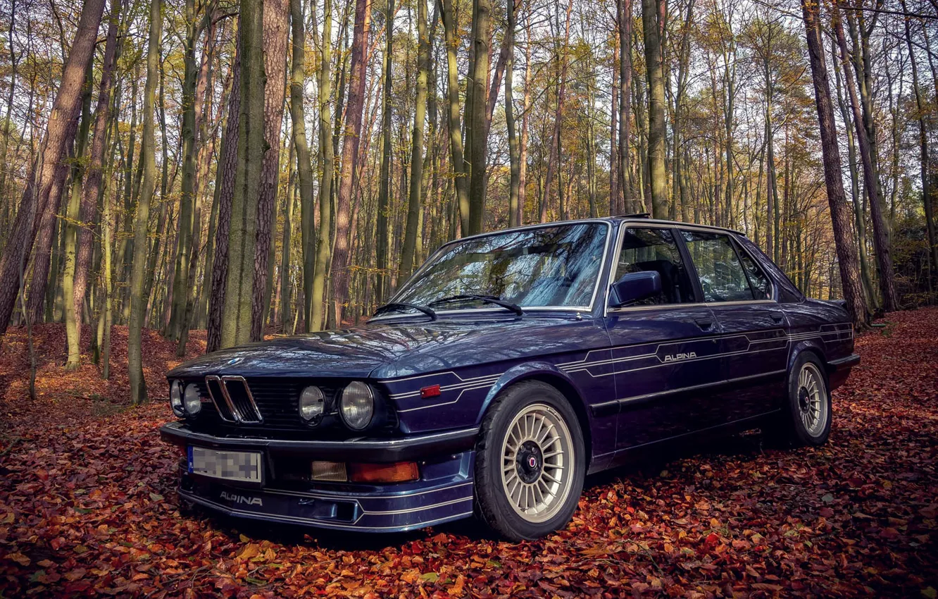 Фото обои BMW, E28, ALPINA, 1985, B9/3.5
