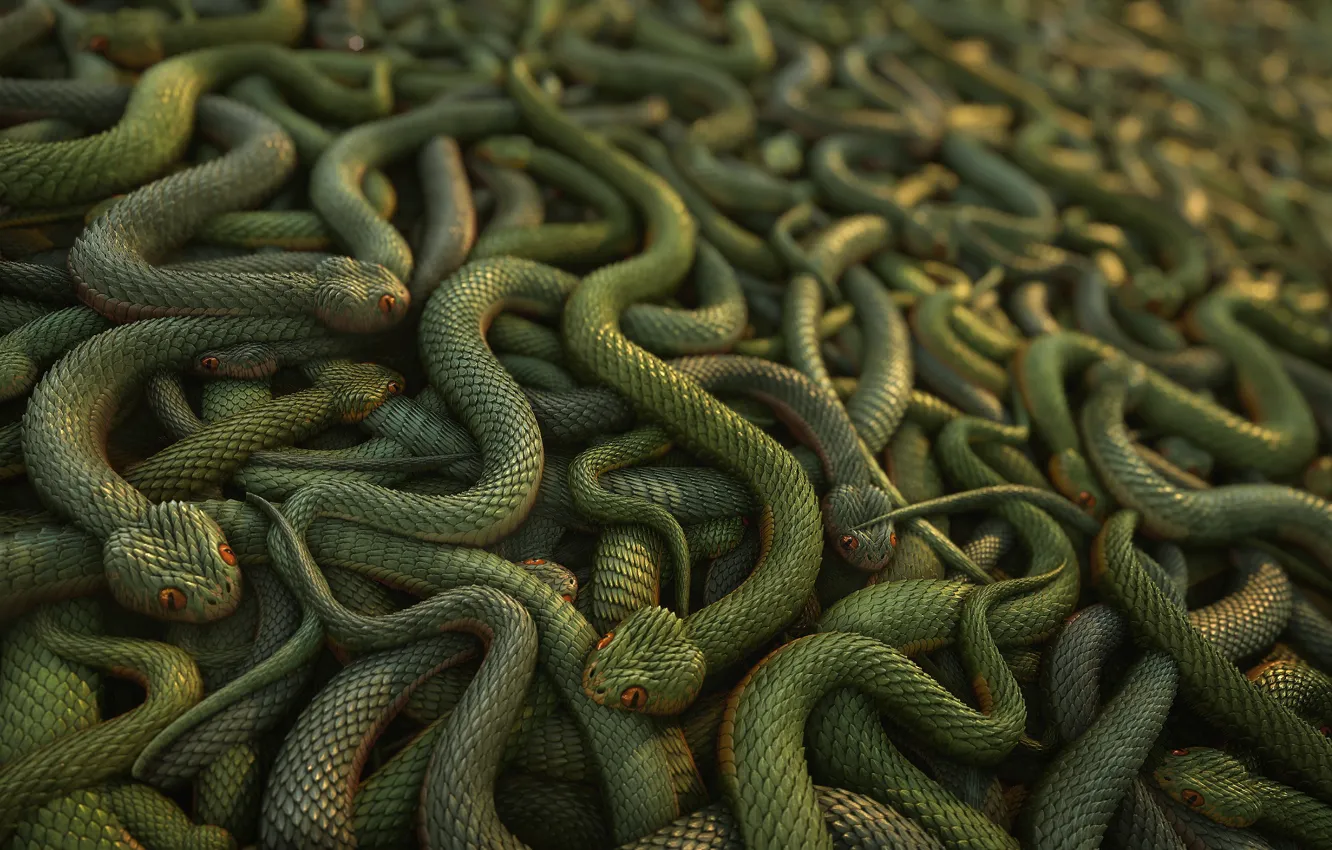 Фото обои змеи, текстура, digital art, 3D art