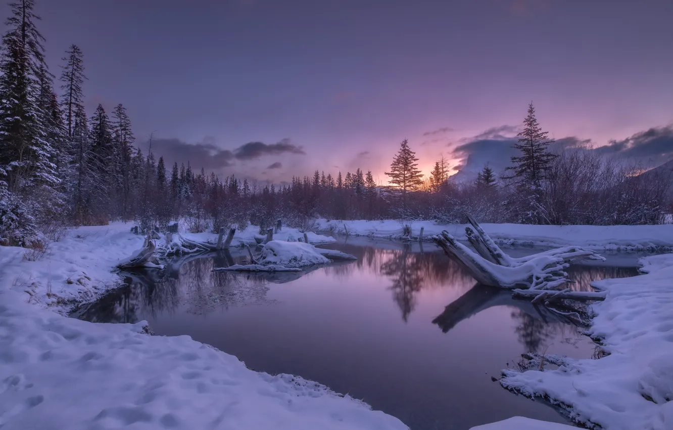 Фото обои зима, лес, снег, закат, озеро, Канада, Альберта, Banff National Park