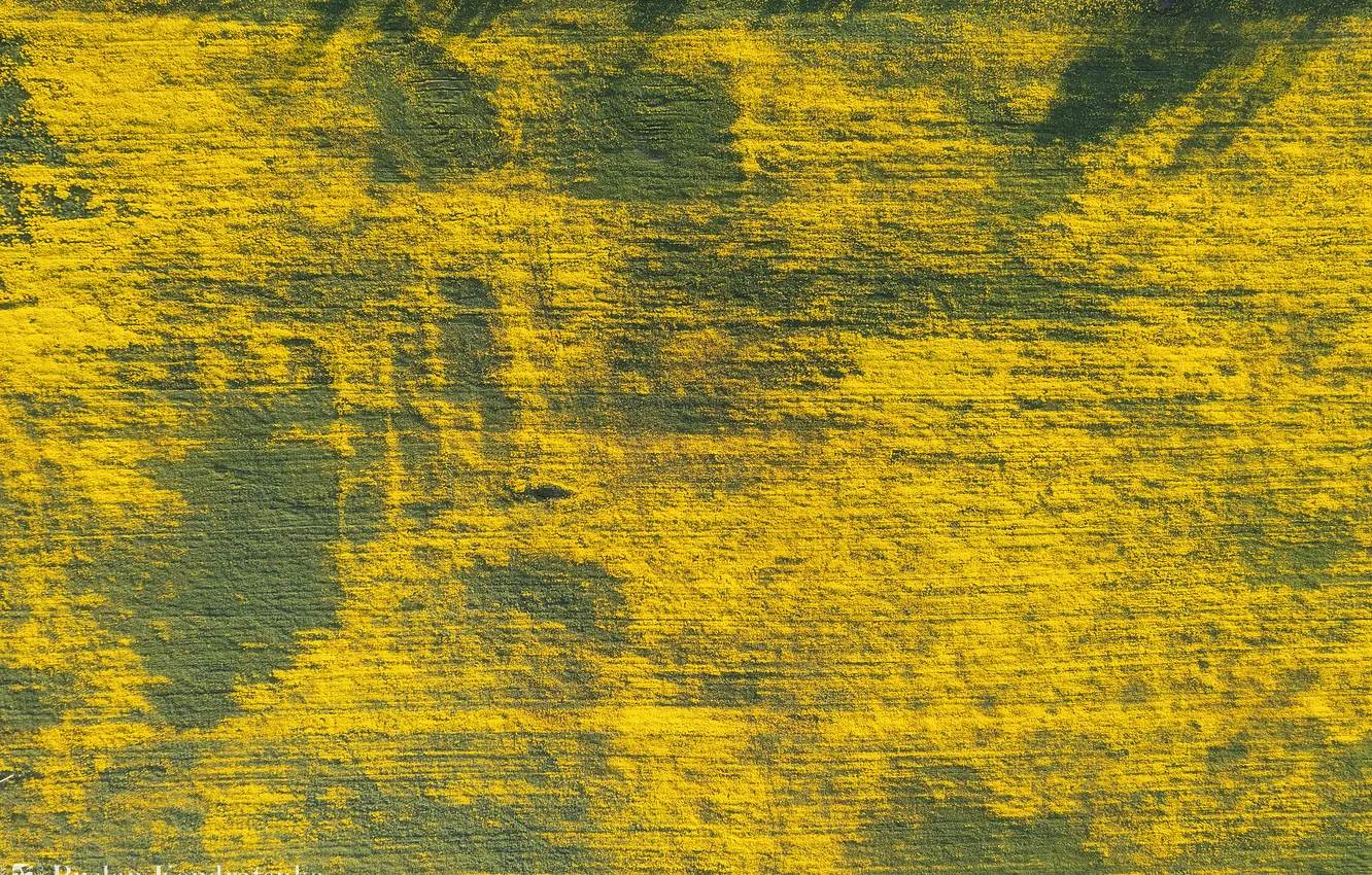 Фото обои colors, grass, aerial view