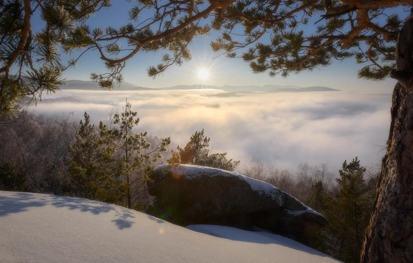 Фото обои зима, солнце, облака, снег, пейзаж, закат, горы, ветки