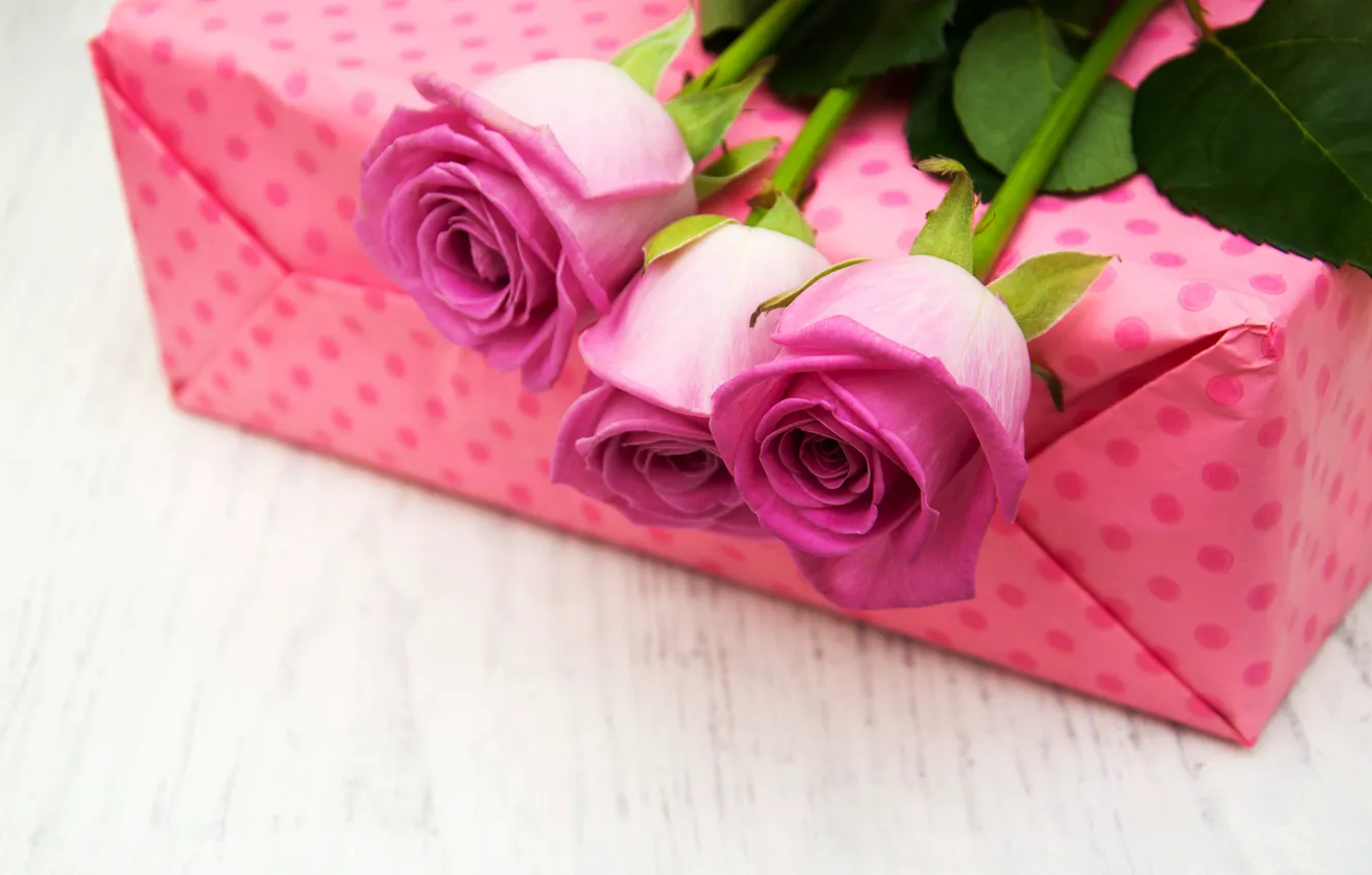 Фото обои подарок, розы, поздравление, Olena Rudo