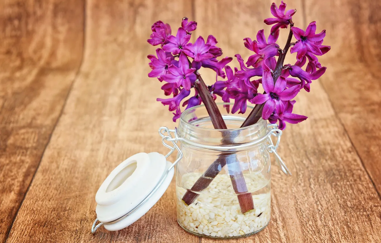 Фото обои цветы, букет, Purple, wood, Hyacinths
