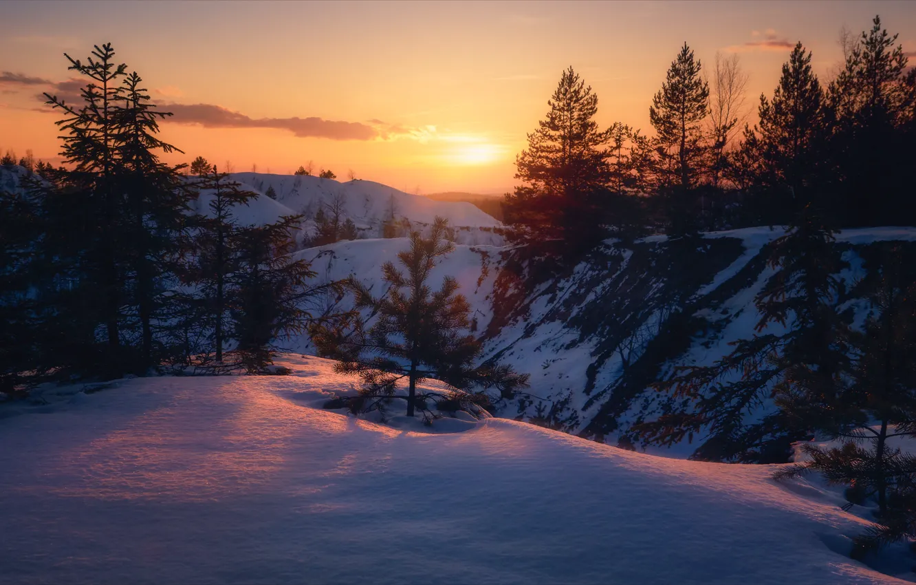 Фото обои зима, снег, деревья, пейзаж, закат, природа, Алексей Богорянов
