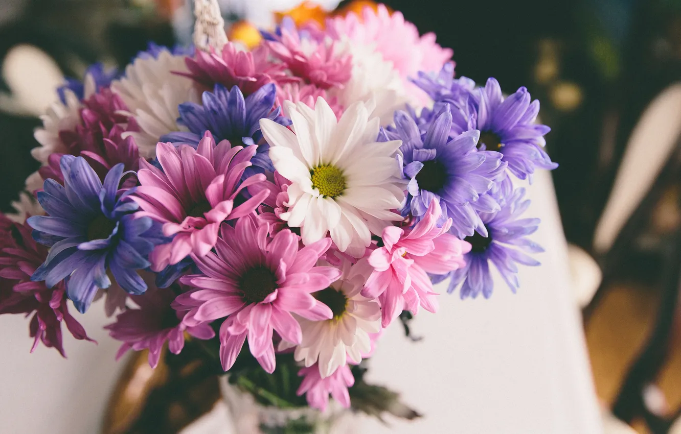 Фото обои цветы, букет, лепестки, розовые, белые