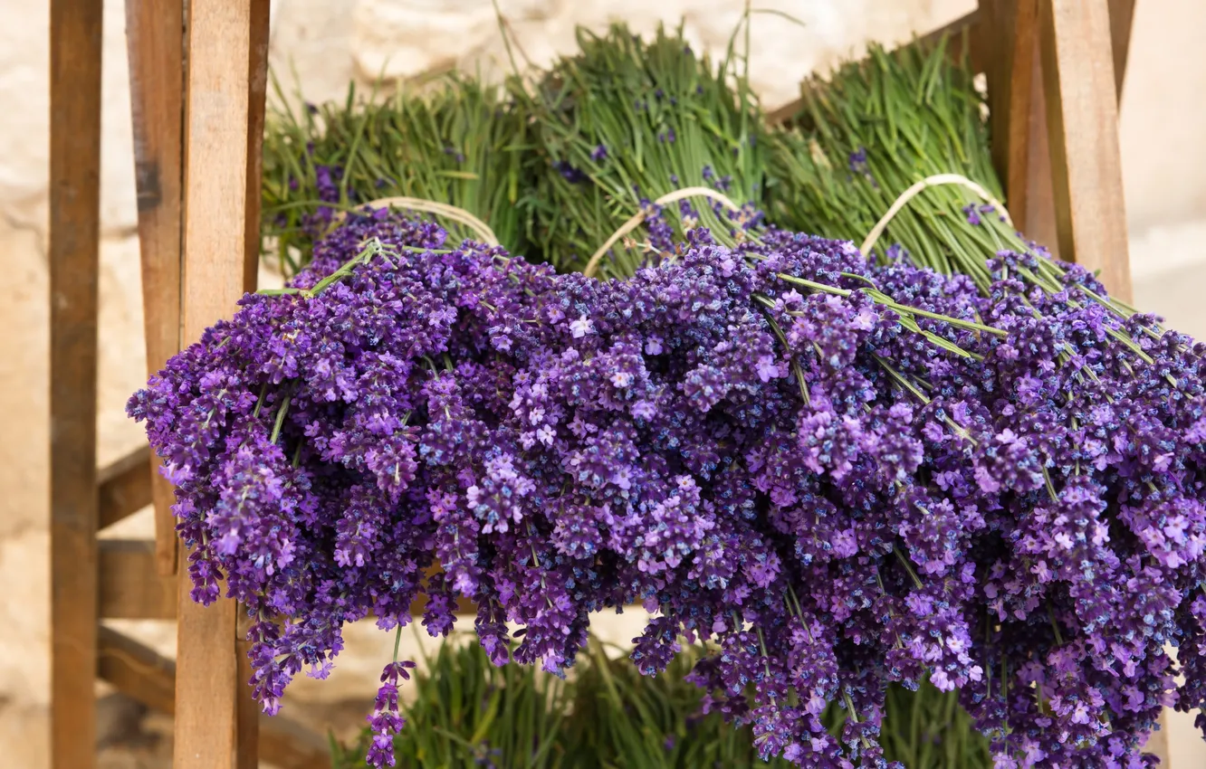 Фото обои букет, flowers, лаванда, lavender