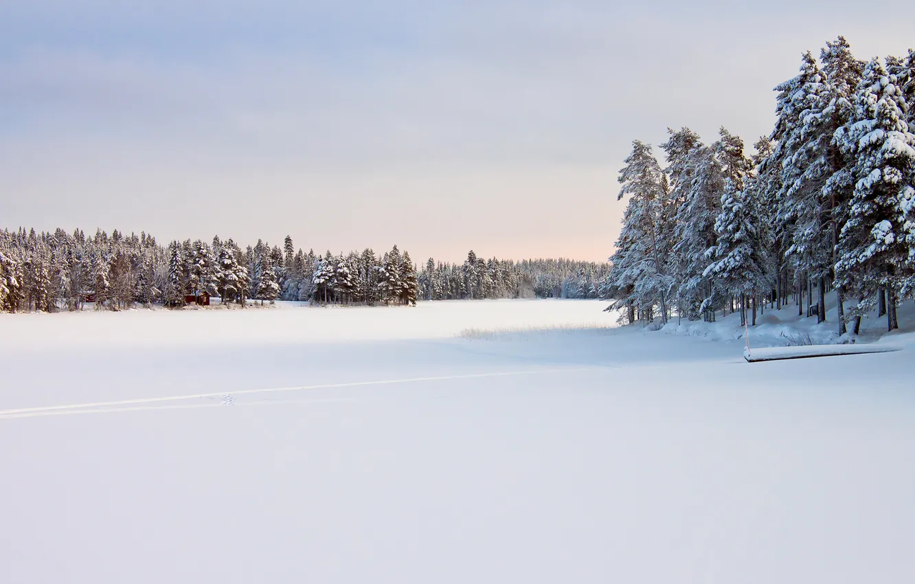 Фото обои зима, лес, небо, снег, деревья, река, русло