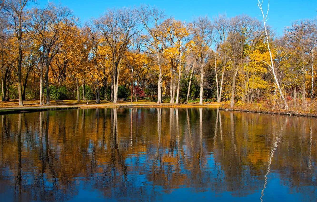 Фото обои осень, деревья, озеро, пруд, парк, отражение