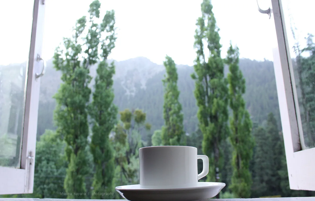 Фото обои чай, утро, окно, чашка, блюдце