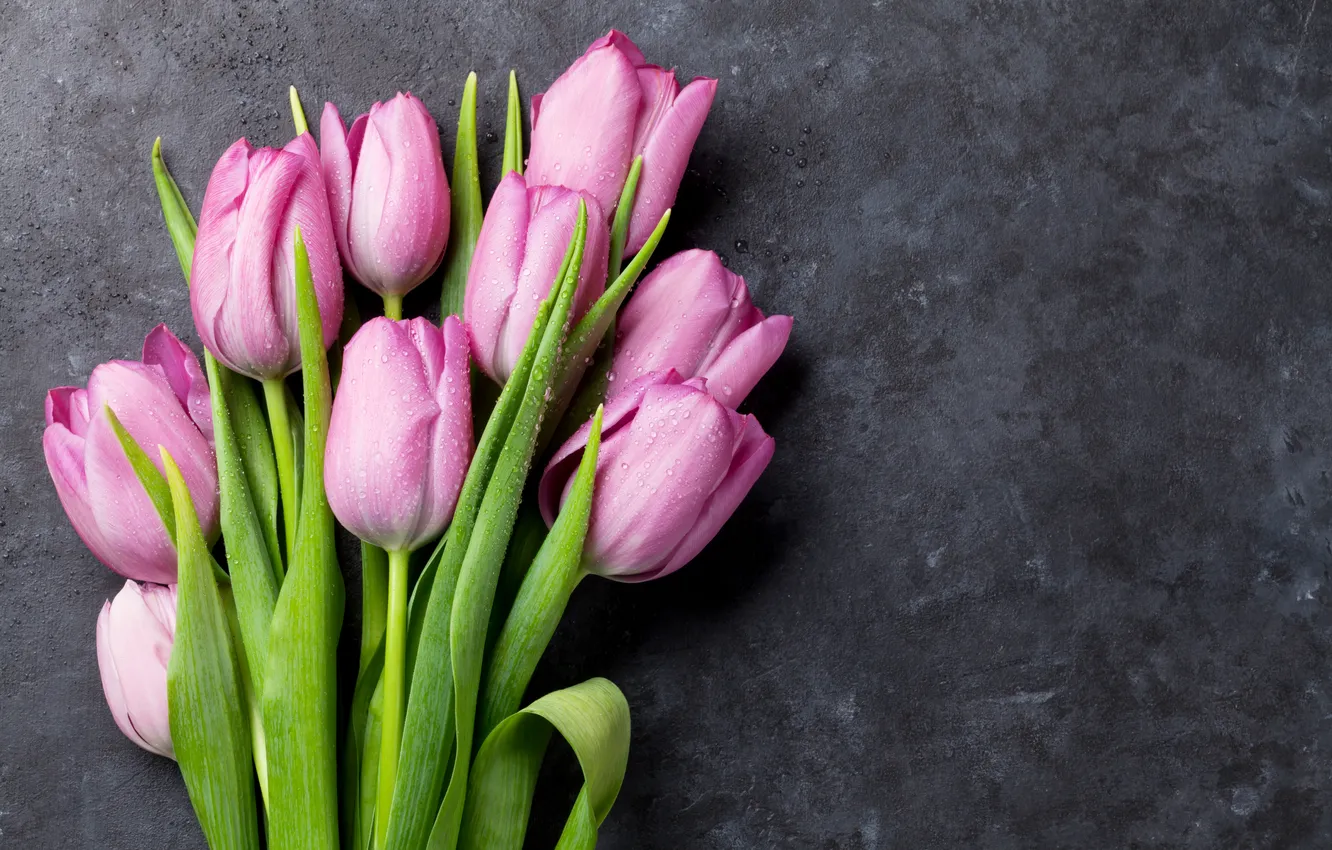 Фото обои цветы, букет, тюльпаны, pink, flowers, tulips, spring, bouquet