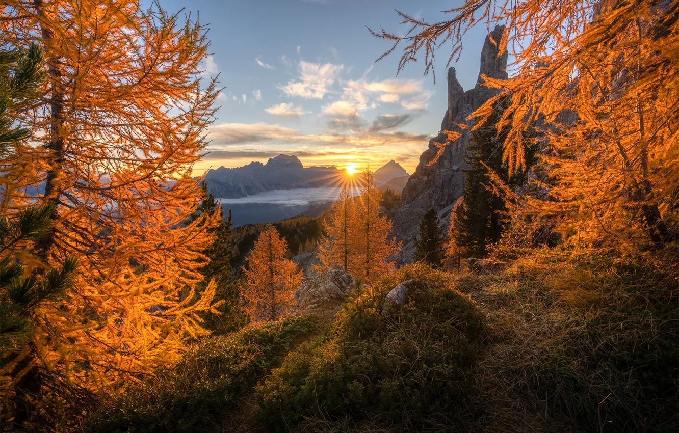 Фото обои осень, солнце, лучи, деревья, закат, горы, природа, высота