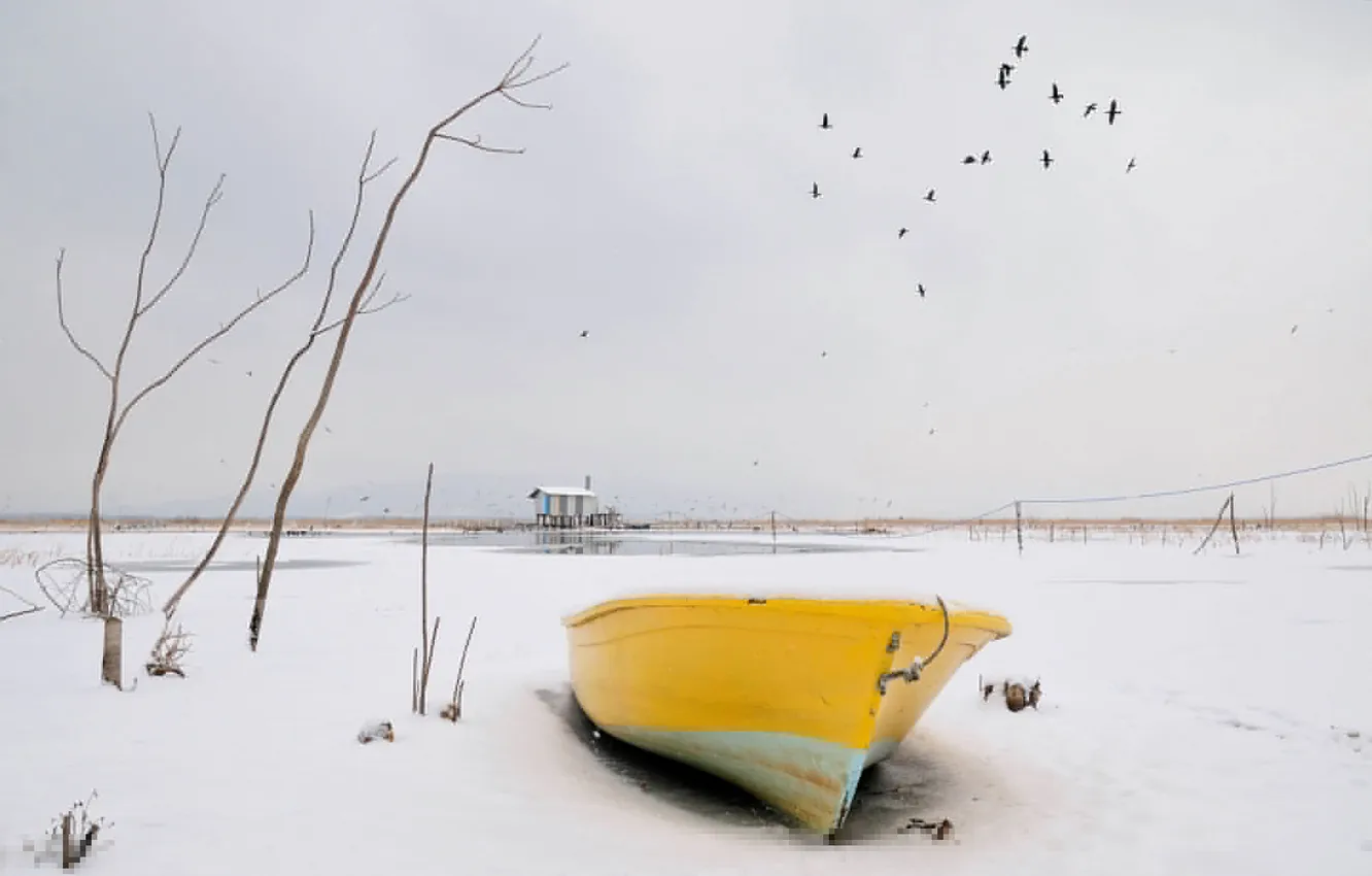 Фото обои зима, снег, птицы, лодка