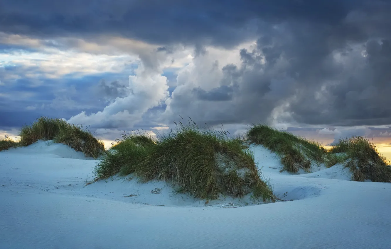 Фото обои закат, берег, дюны