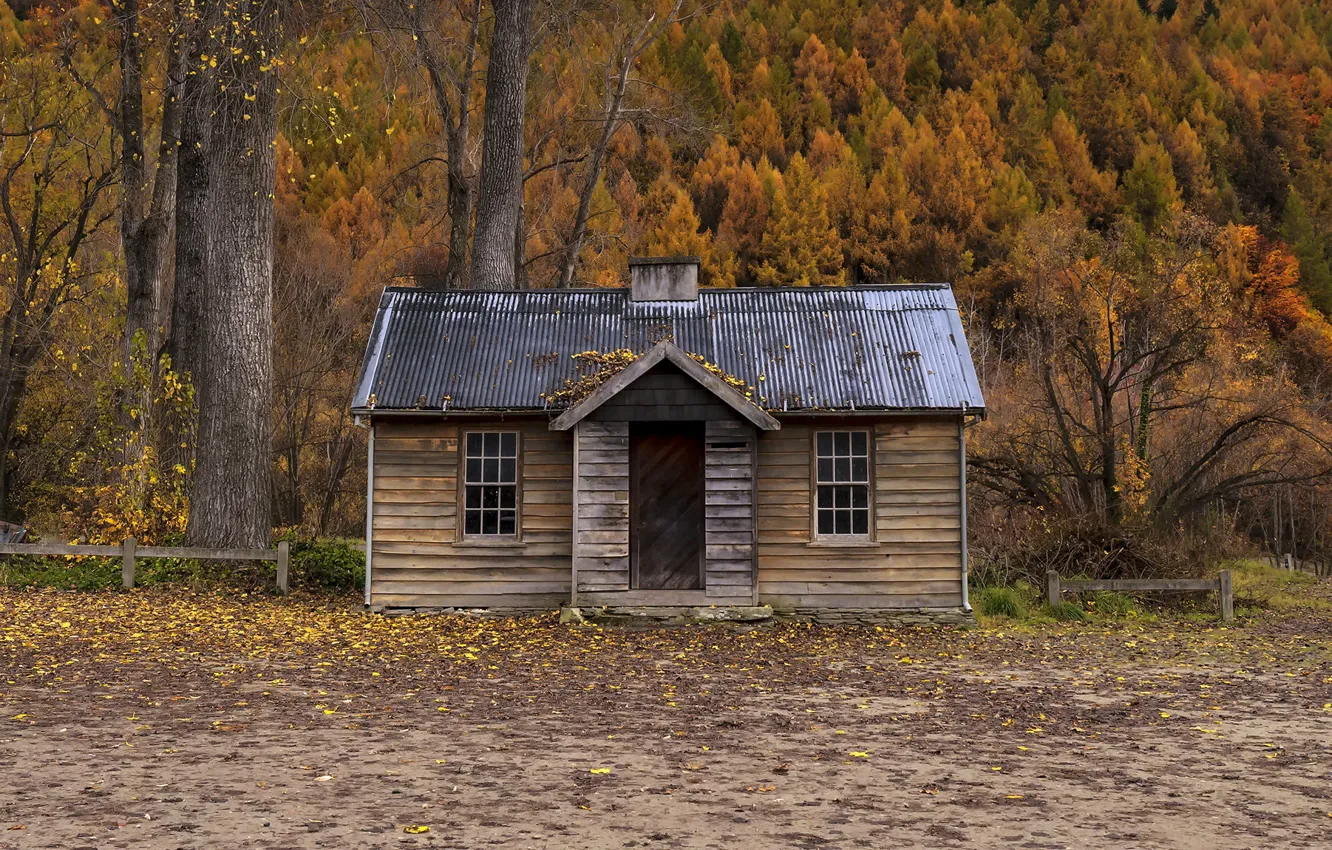 Фото обои осень, лес, дом