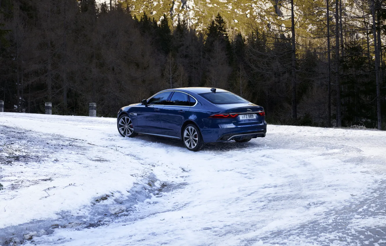 Фото обои дорога, лес, снег, деревья, Jaguar, поворот, седан, Jaguar XF