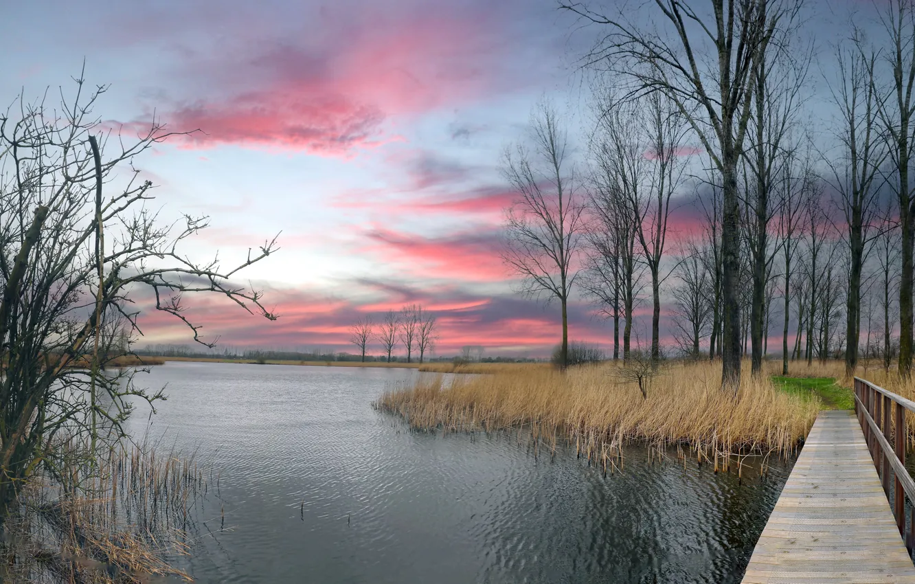 Фото обои мост, природа, озеро