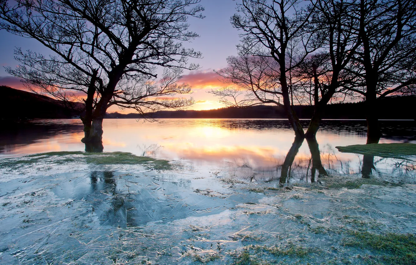 Фото обои лед, деревья, закат, озеро, заморозки