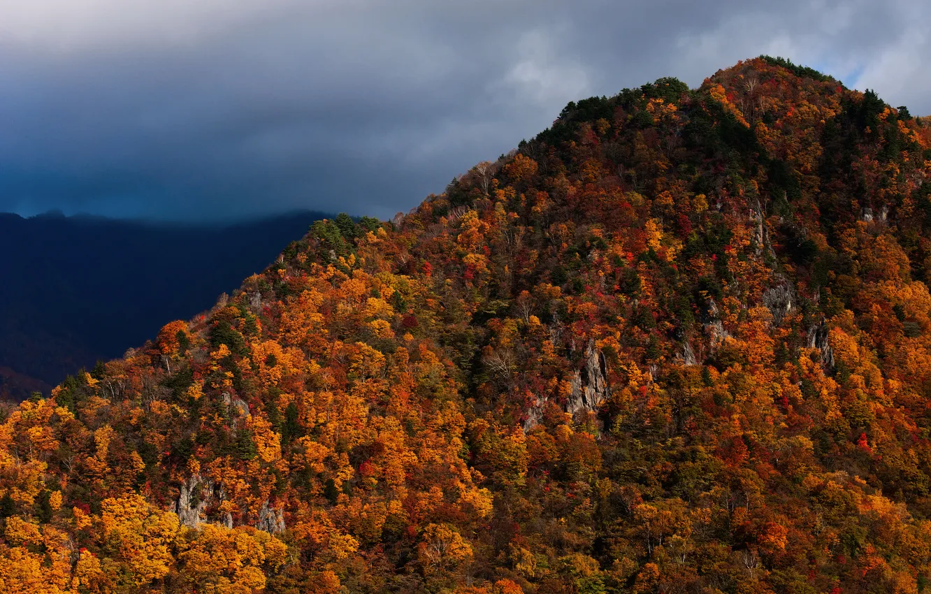 Фото обои осень, лес, небо, горы, тучи, краски, Япония, Хонсю