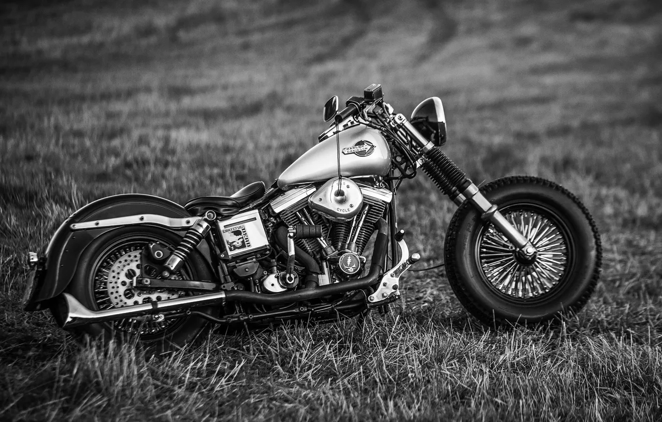 Фото обои дизайн, стиль, мотоцикл, форма, байк, Harley-Davidson