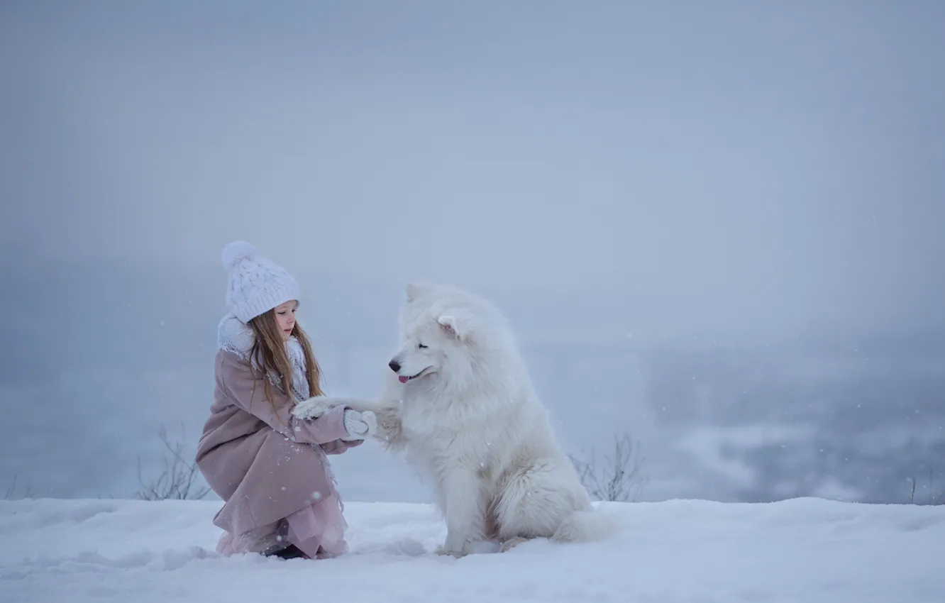 Фото обои зима, снег, собака, девочка, друзья, самоед