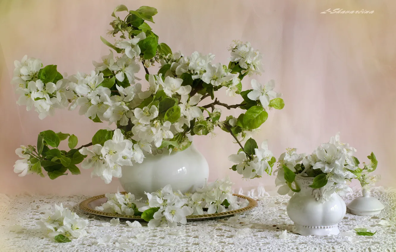 Фото обои весна, посуда, яблоня